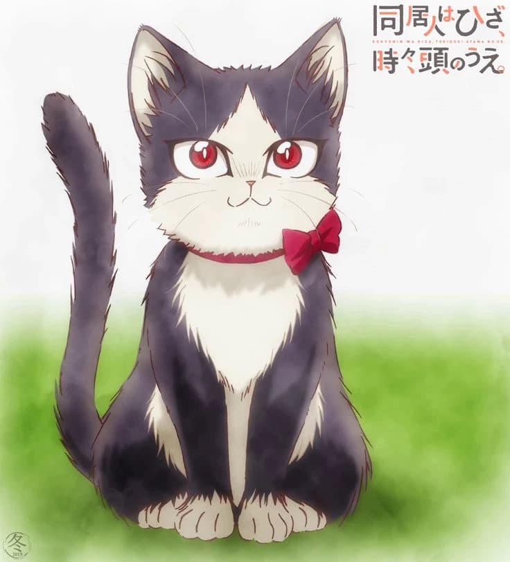 Haru |Cold and Elegant Cat' thumbnail