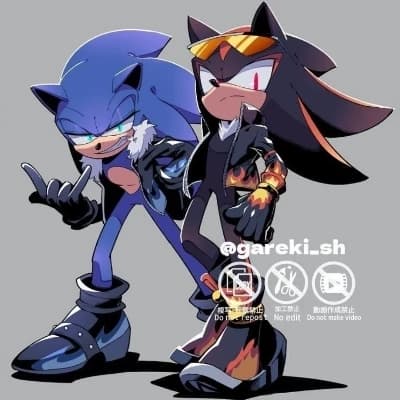 Sonic and Shadow The Hedgehog thumbnail