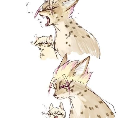 Shidou thumbnail