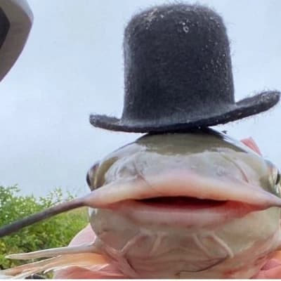 Mr. Whiskerton thumbnail