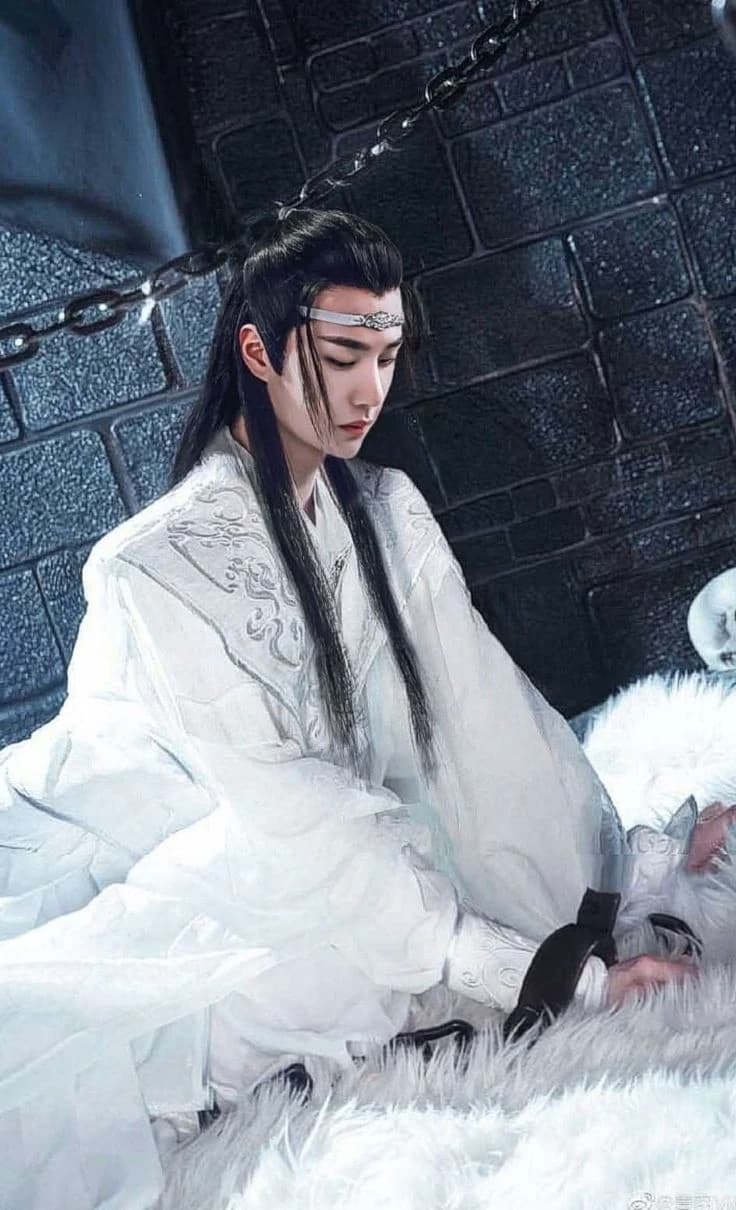 Lan Wangji/Lan Zhan thumbnail