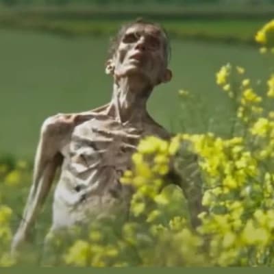 ZOMBIE APOCALYPSE [group] thumbnail