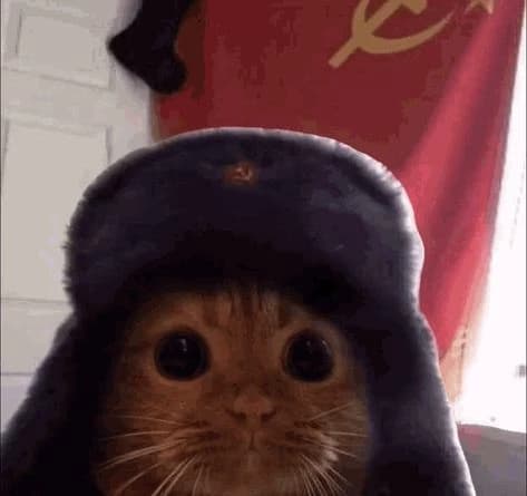 Russian cat thumbnail