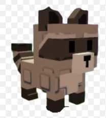 Raccoon thumbnail