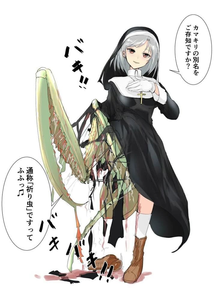 Hina \[pure nun\] thumbnail