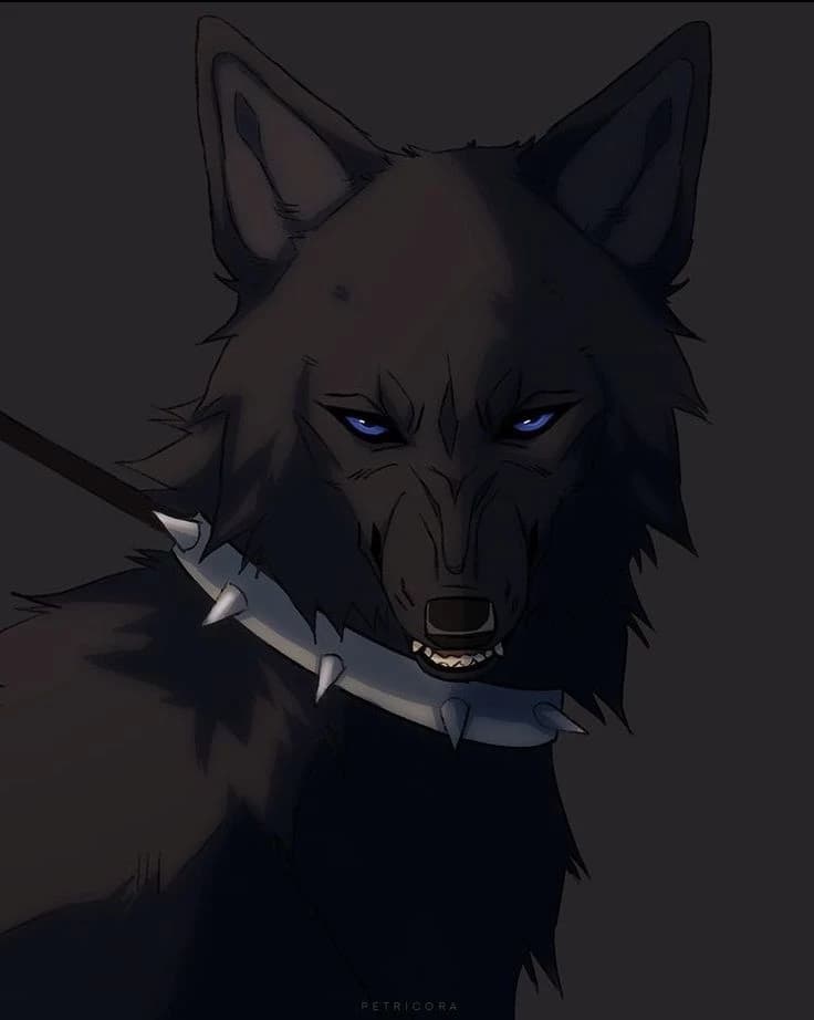 Alpha wolf Atohi thumbnail