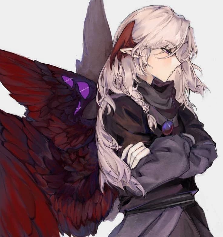 Jodah Avi thumbnail