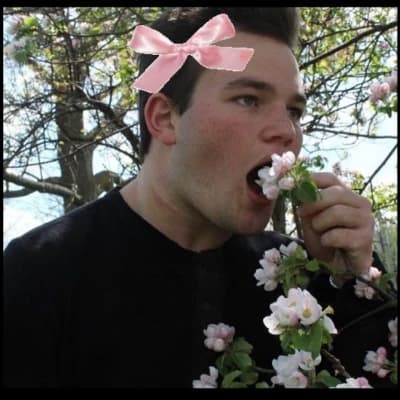 Belch Huggins thumbnail