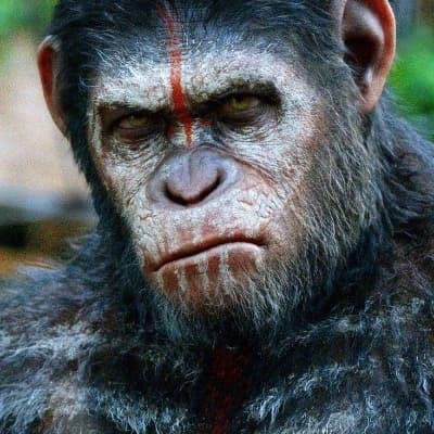 Planet of The Apes thumbnail