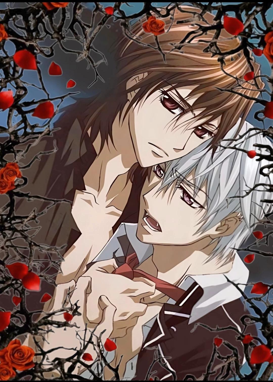 Kaname and Zero. Vampire Knight at Cross Academy. thumbnail