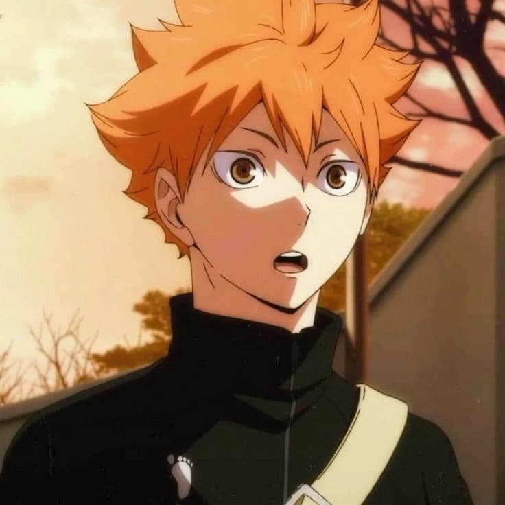 Shoyo Hinata thumbnail