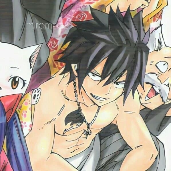 Gray Fullbuster  thumbnail