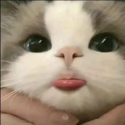 Mittens thumbnail