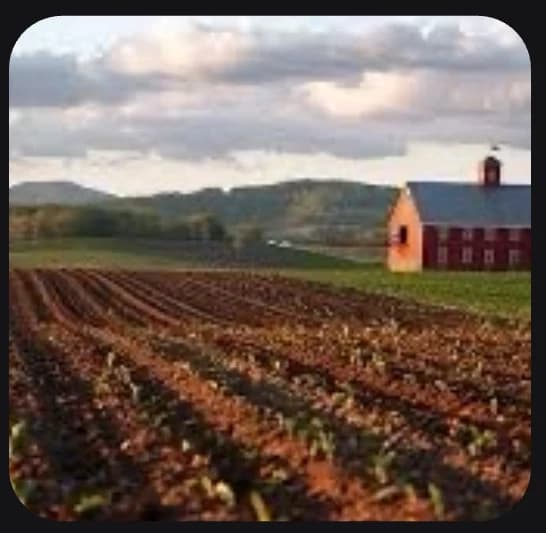 Farmhand thumbnail