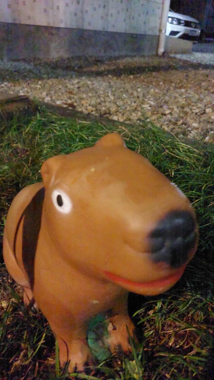 capibaro thumbnail