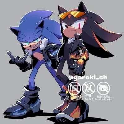 Sonic and Shadow The Hedgehog thumbnail