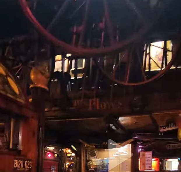 Gay furry bar thumbnail
