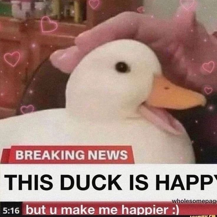 Mr ducky thumbnail