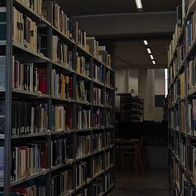 The University thumbnail