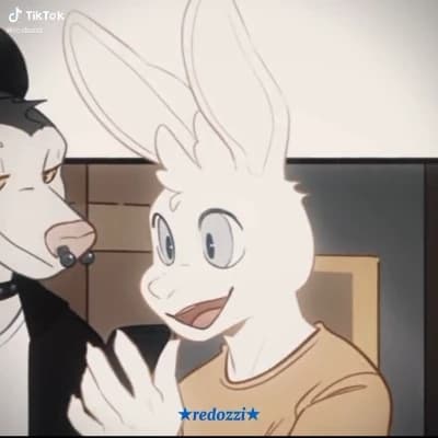 Sky sky.. a white male rabbit thumbnail