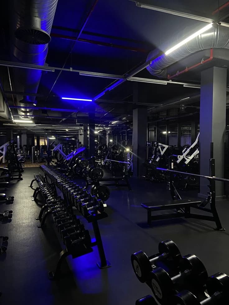 The gym  thumbnail
