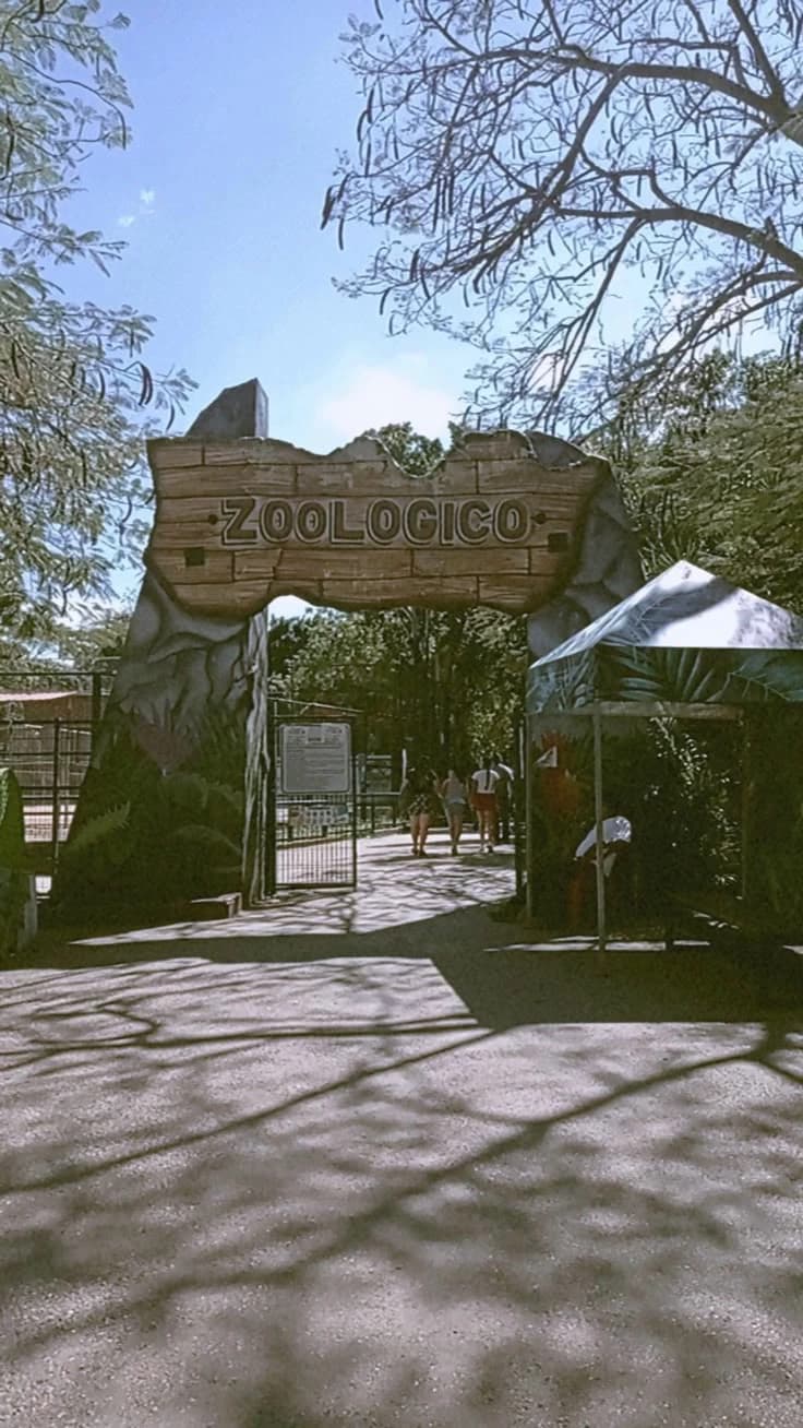 Zoo - You communicate with animals thumbnail