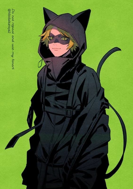 Adrien Agreste/cat noir⚔️🐈 ⬛ thumbnail