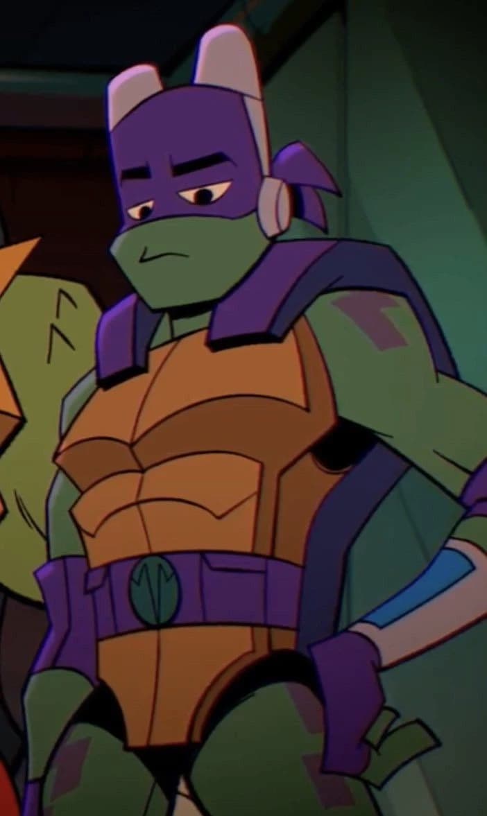 Donnie ROTTMNT  thumbnail