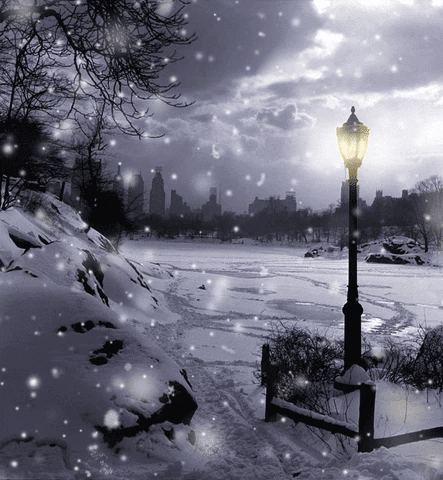 | • | Winter Snow, a furry world. | • | thumbnail