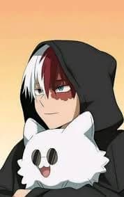 Shoto Todoroki thumbnail