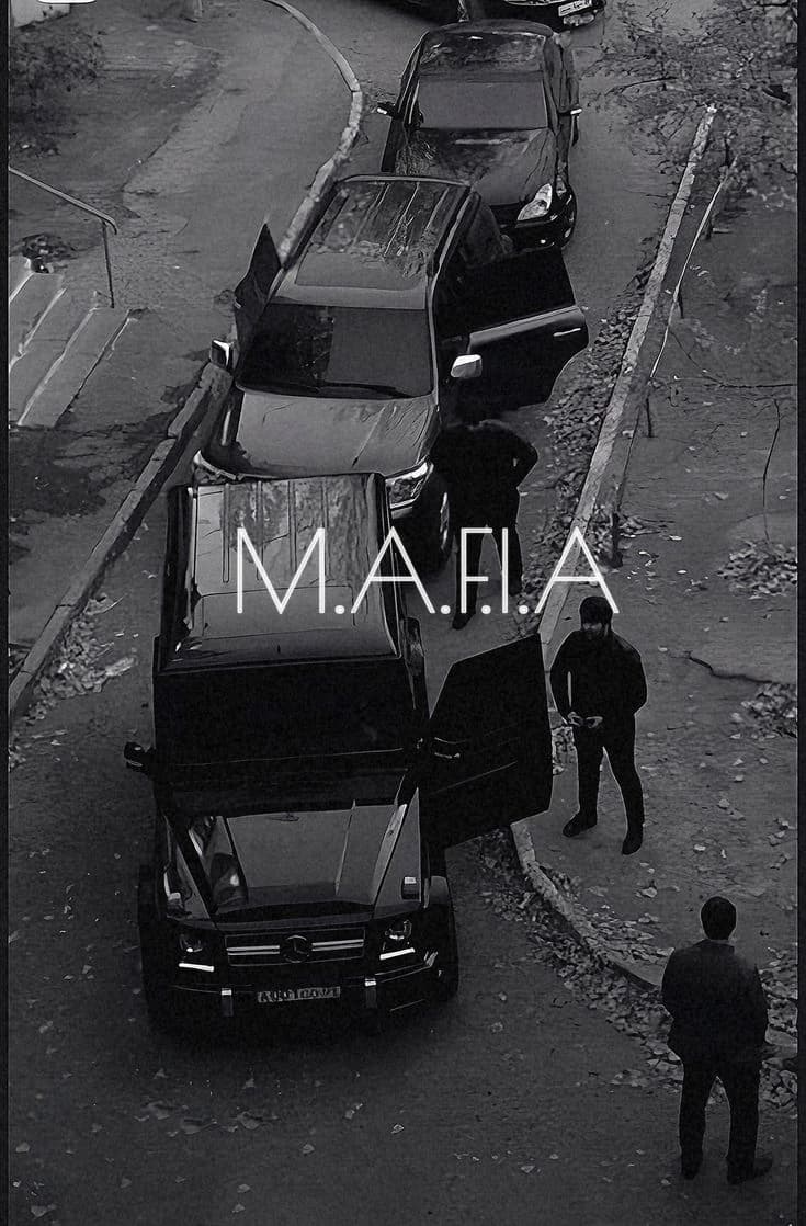 Mafia family🔪🔪🍷-You are their only heir. (Baby) thumbnail