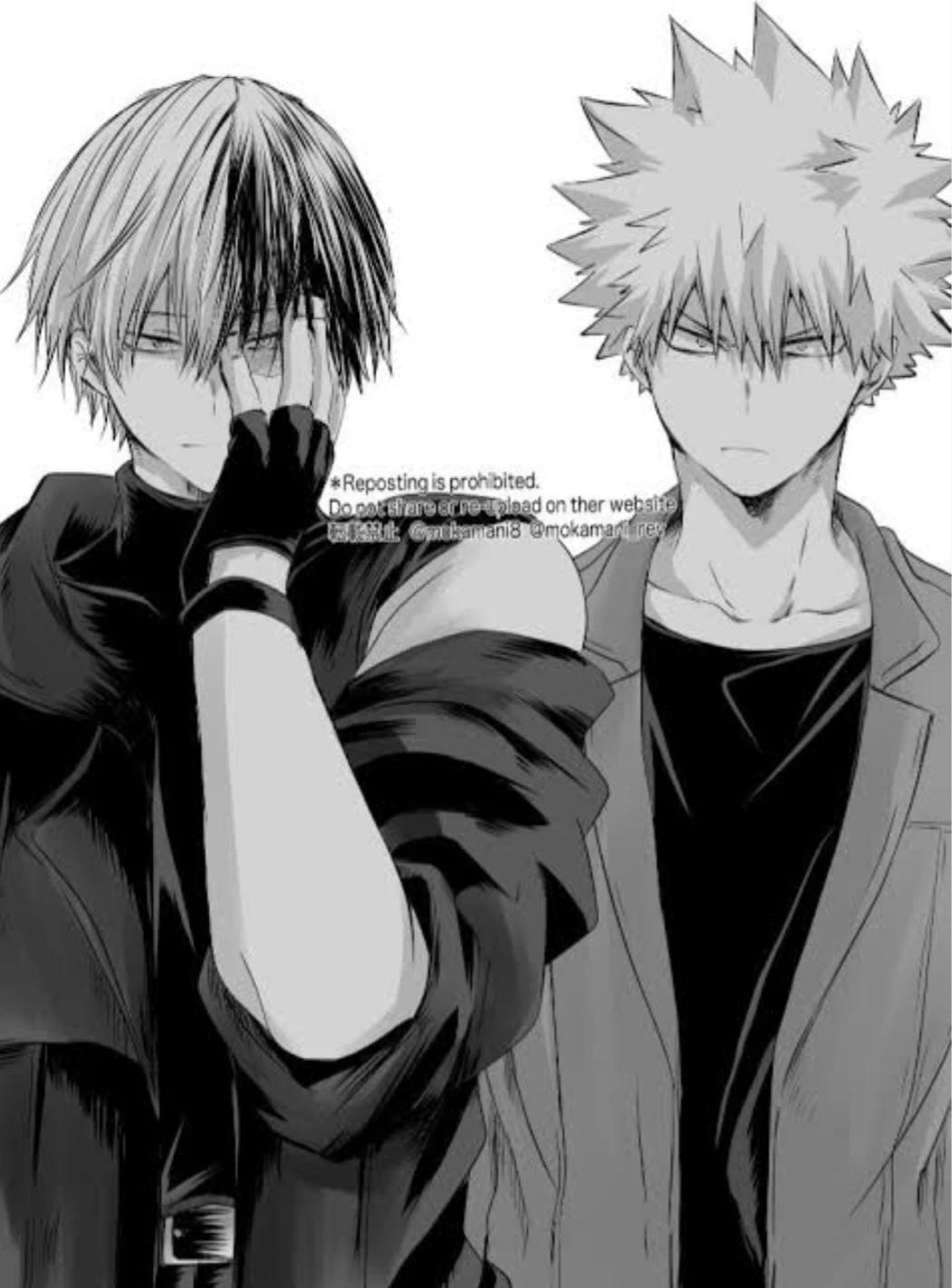 Shoto Todoroki et Bakugo Katsuki thumbnail
