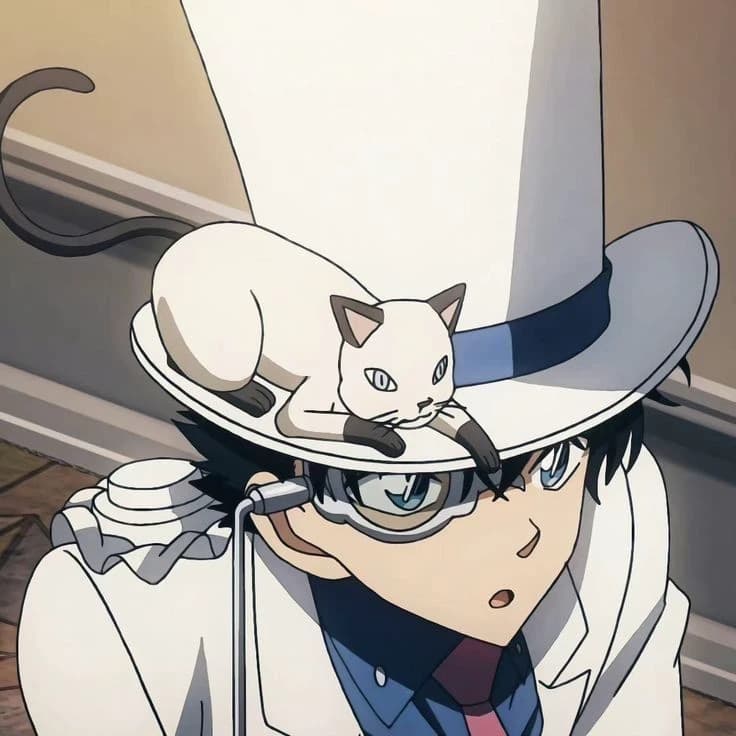Kaito kid 💙🤍 thumbnail