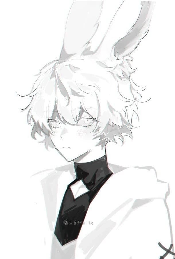 Emil - The Bunnyboy Scholar of Ilyndra thumbnail