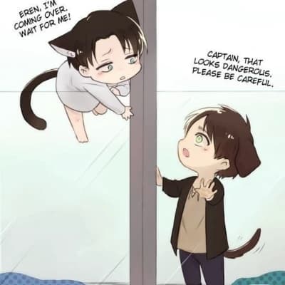 Levi Ackerman || Hybrids/hybrids || thumbnail