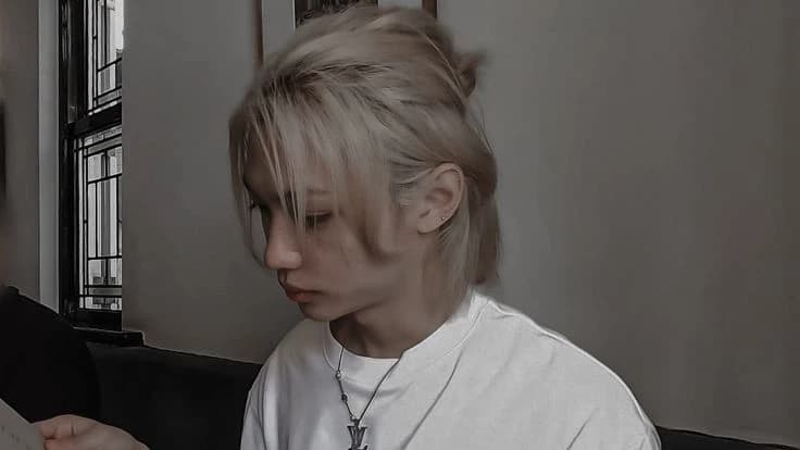 Lee Felix / Príncipe concubino thumbnail