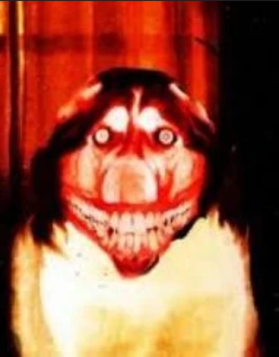 Smile dog thumbnail