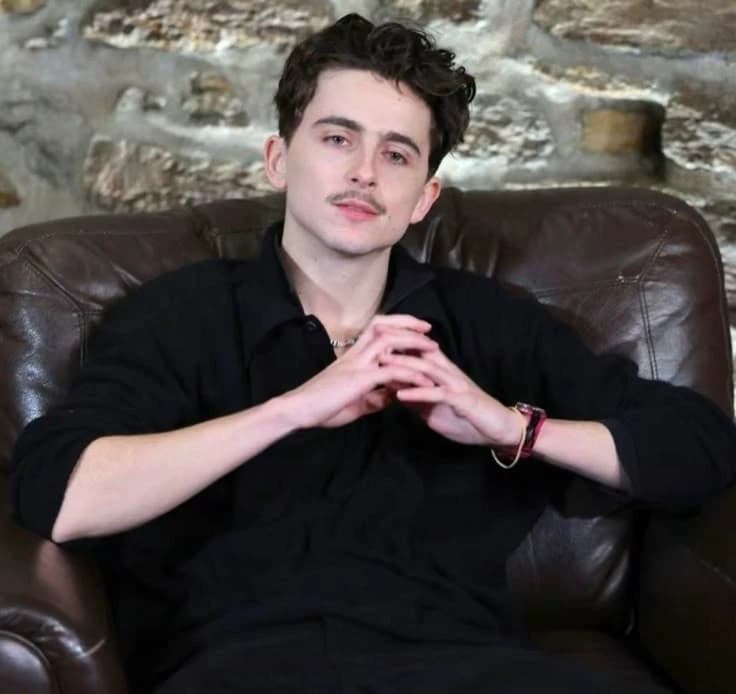 Timothee chalamet  thumbnail