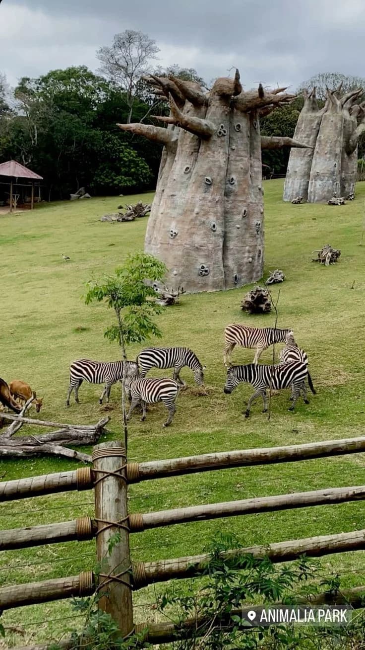 Zoo thumbnail