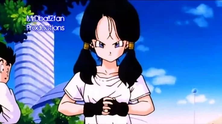 VIDEL STAT thumbnail