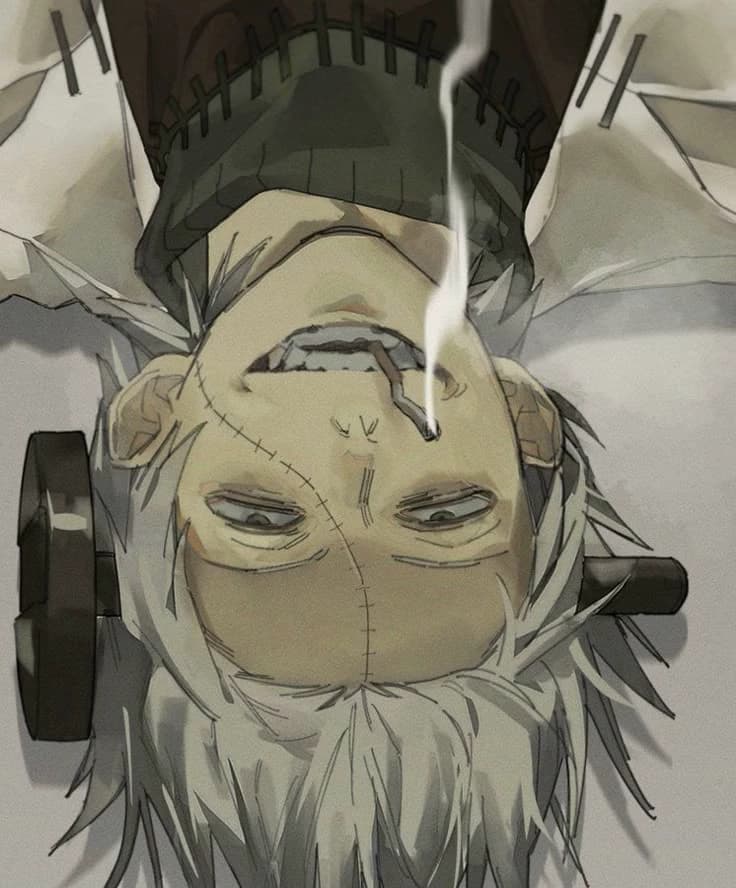 Freank Stein thumbnail
