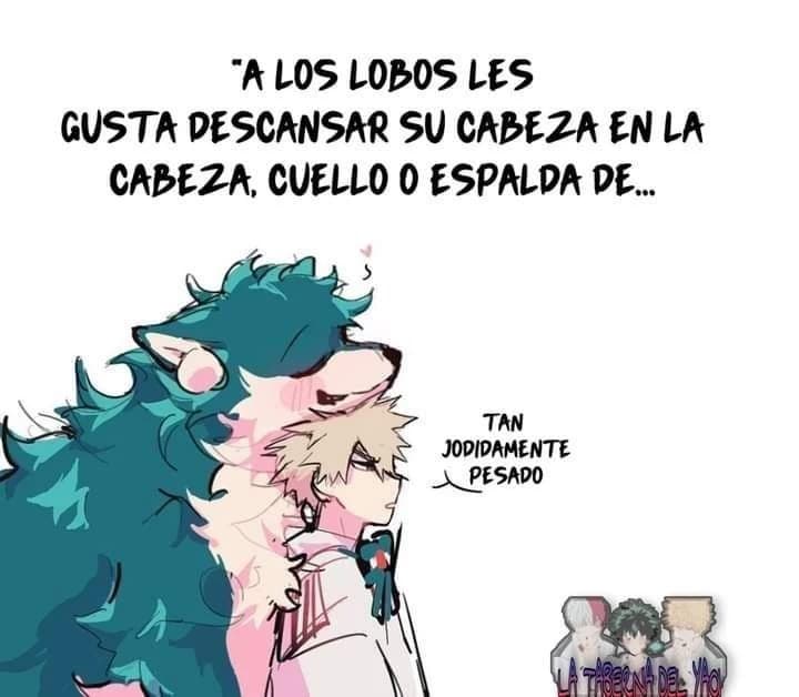 Katsuki bakugo thumbnail