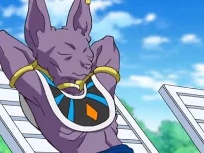 Beerus thumbnail