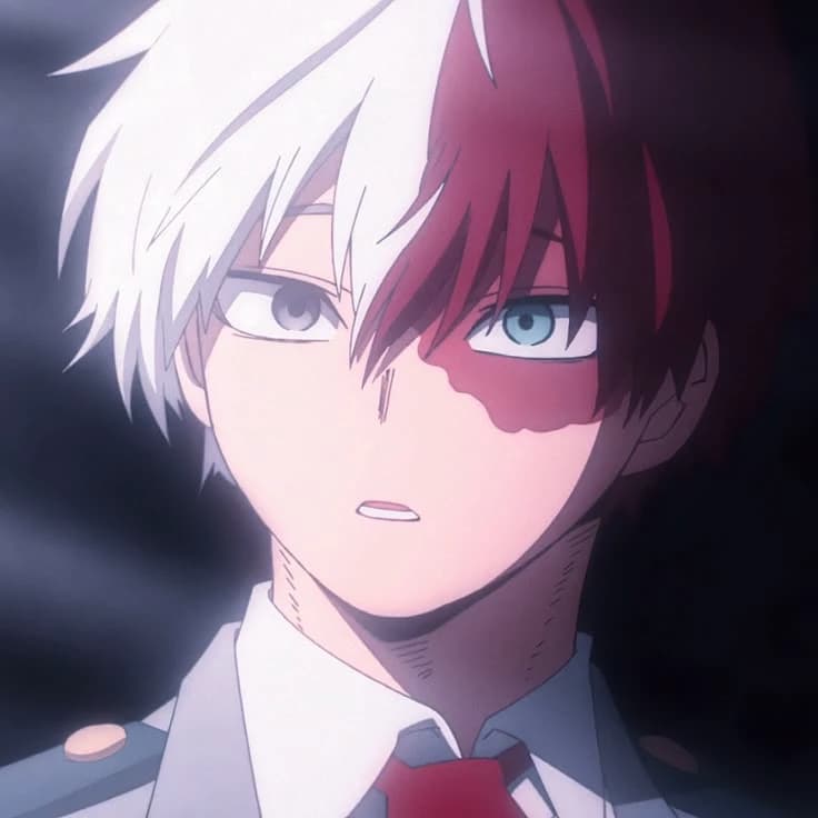 Shoto Todoroki thumbnail