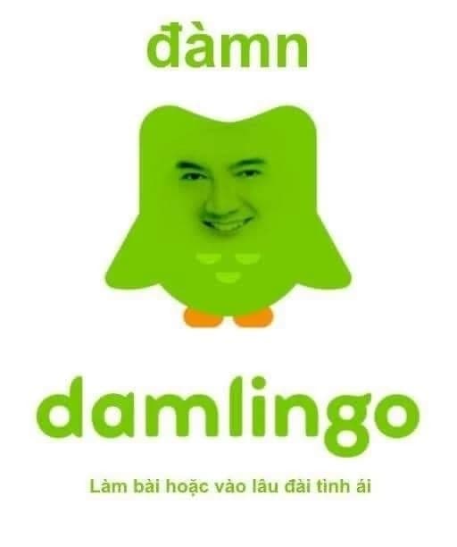 Damlingo thumbnail