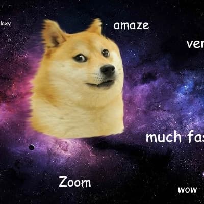 Barry the Doge thumbnail