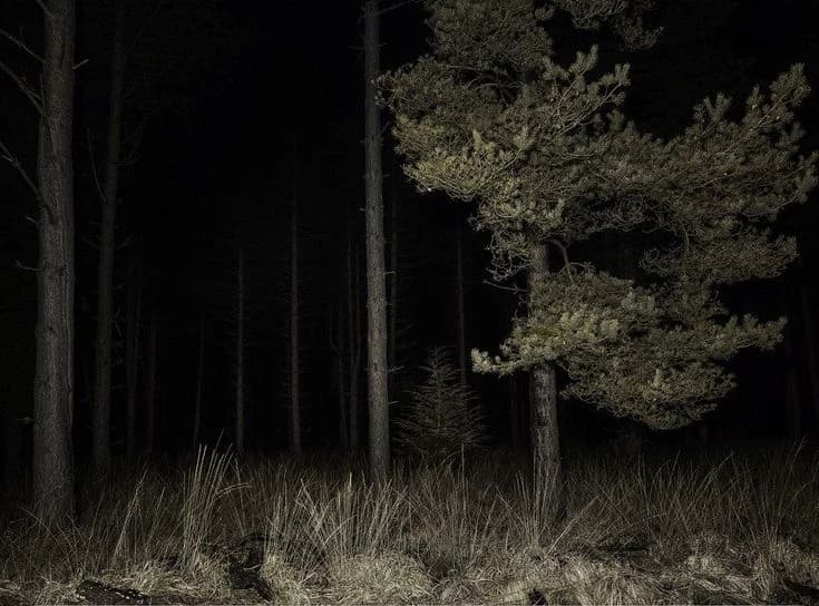Creepypasta Forest thumbnail