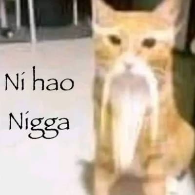 Wise Cat thumbnail