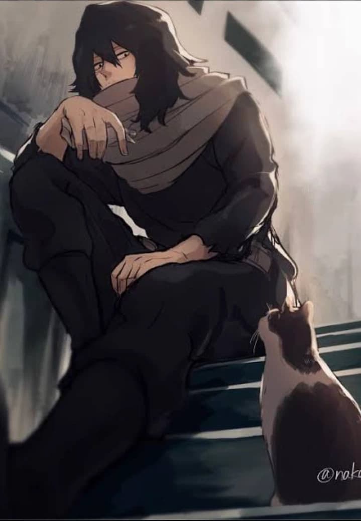 Aizawa Shouta  thumbnail