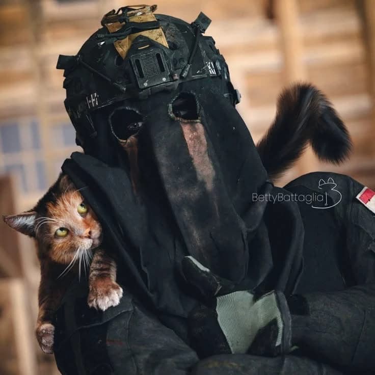 König thumbnail